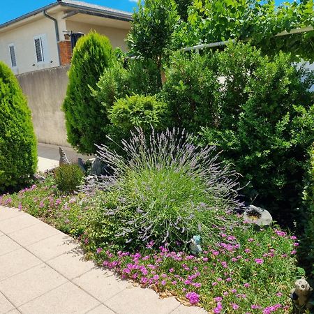 Apartment Nina โนวีวีโนดอลสกี ภายนอก รูปภาพ
