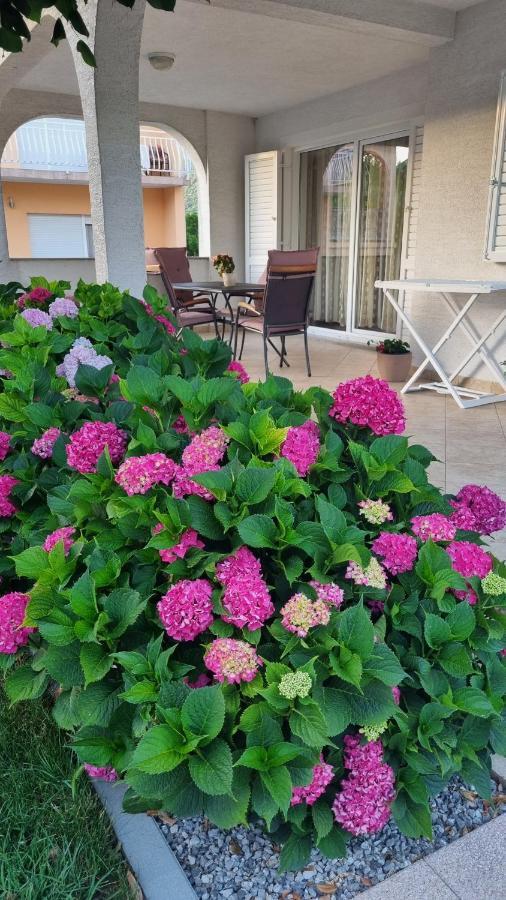 Apartment Nina โนวีวีโนดอลสกี ภายนอก รูปภาพ